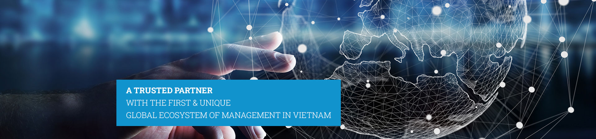 Global ecosystem of management in Vietnam