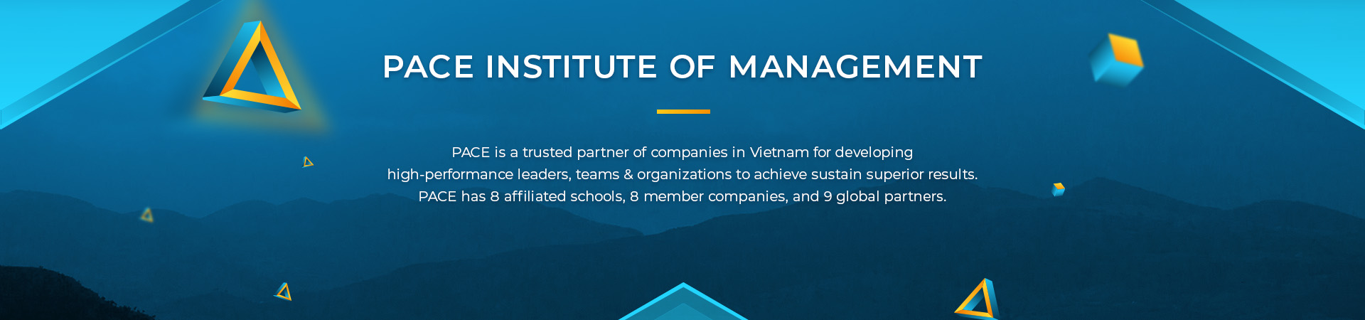 PACE’S 20-YEAR MILESTONES: A 2-DECADE JOURNEY OF DEVELOPING LEADERS & PROFESSIONALS FOR BUSINESS & SOCIETY IN VIETNAM