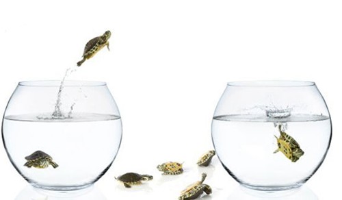 “Dẫn dắt sự thay đổi”  - Năng lực “vàng” cho thời khủng hoảng