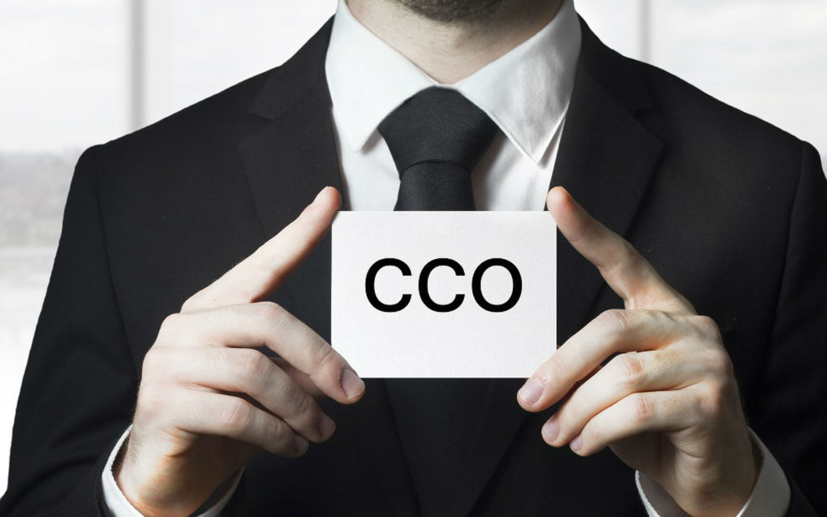 KEY CHARACTERISTICS OF THE SUCCESSFUL CCO