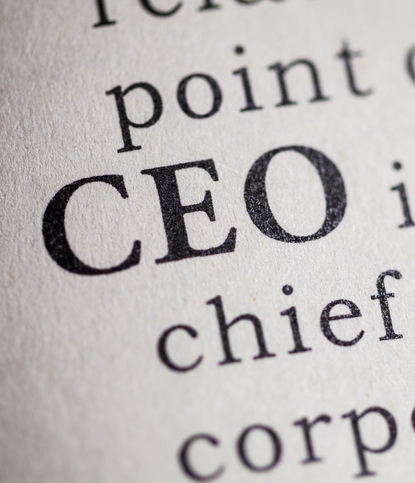 DIFFERENCES BETWEEN CEOS FROM OTHER EXECUTIVES? 