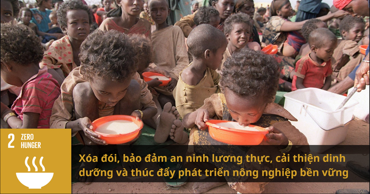 Mục tiêu 2: Không còn nạn đói - Zero Hunger