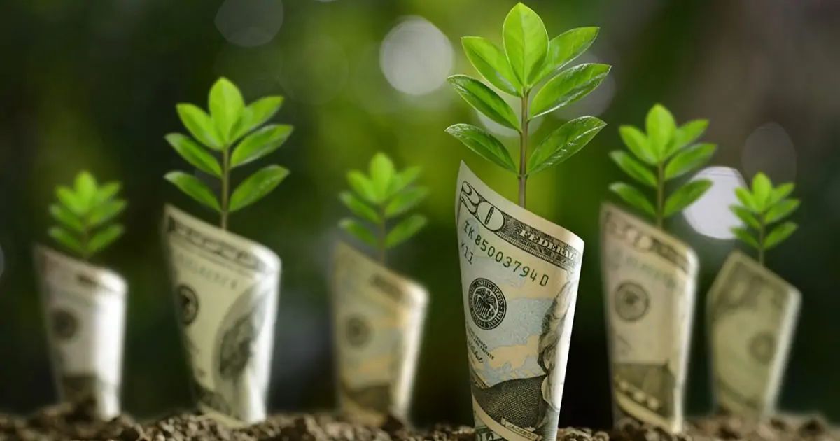 rủi ro của greenwashing