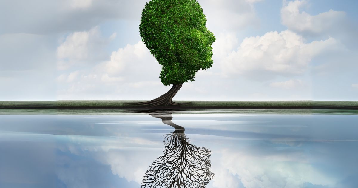 các hình thức greenwashing