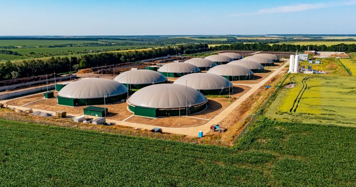 thành phần chuỗi cung ứng xanh