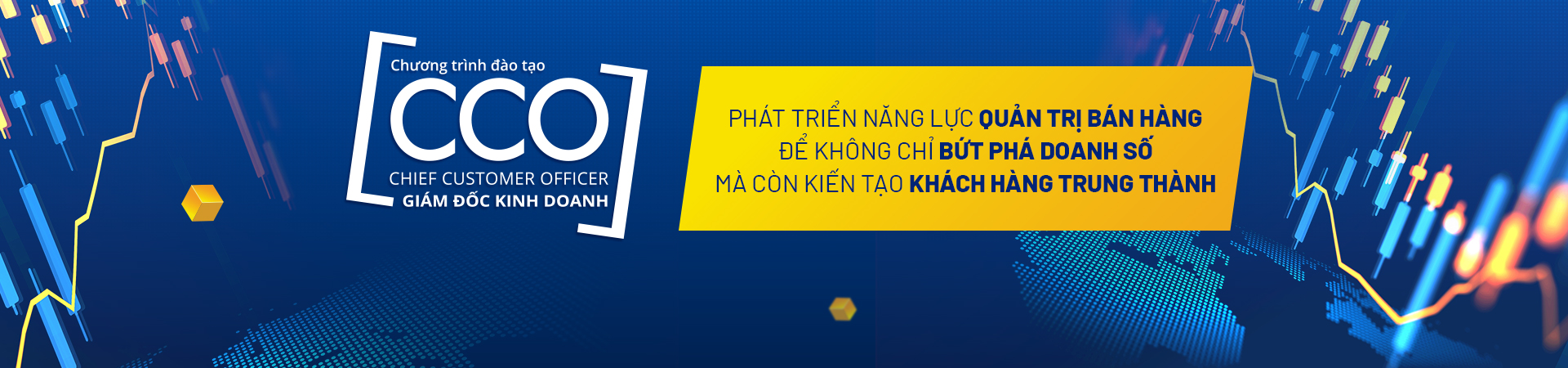 CCO - GIÁM ĐỐC KINH DOANH