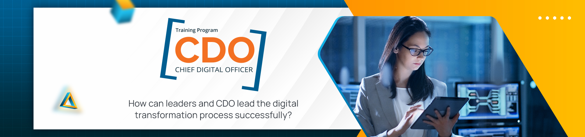 CDO - Chief Digital Officer